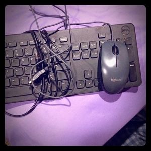 Dell keyboard and Logitech mouse (USB)